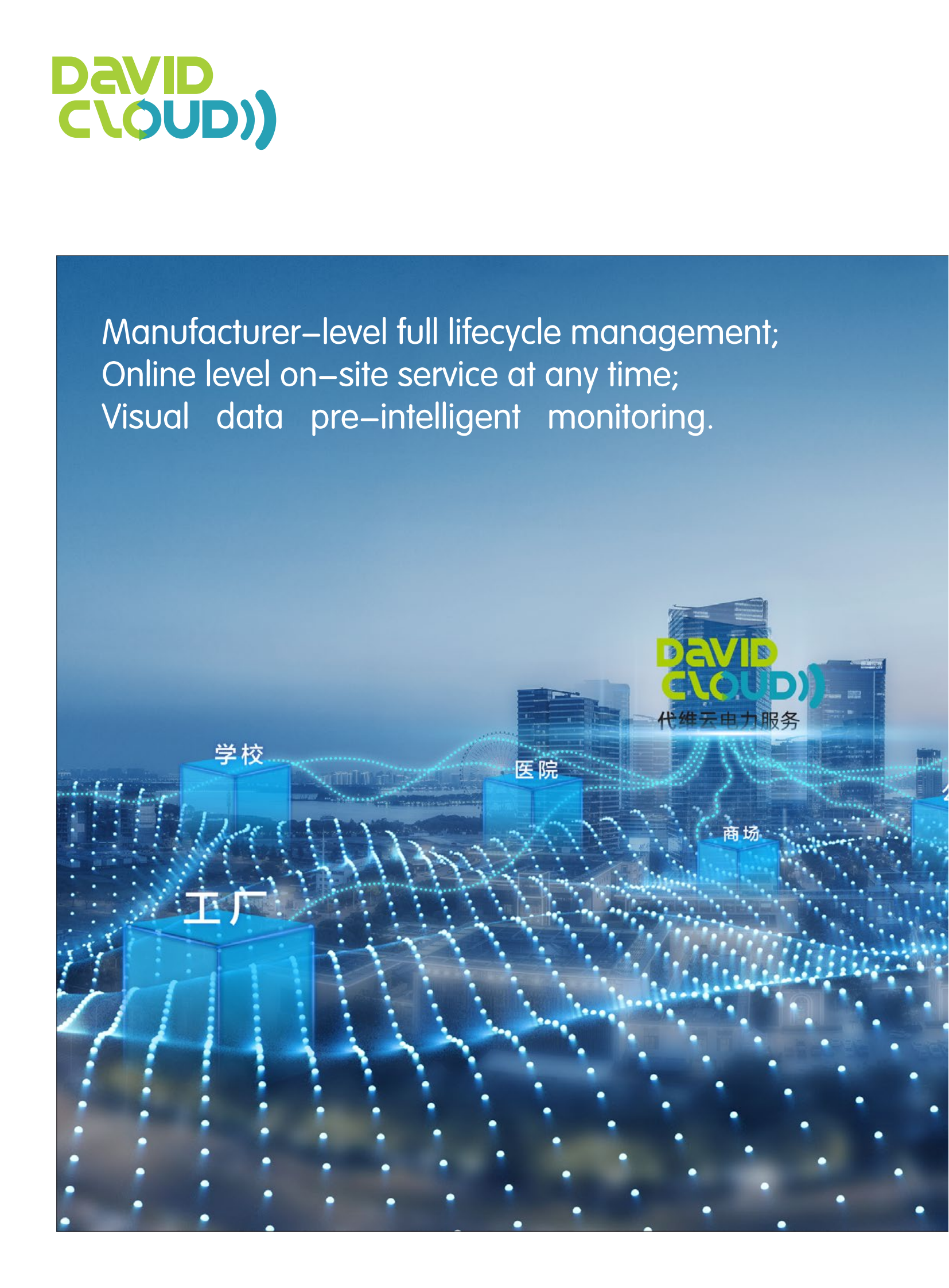 代维云英文版本