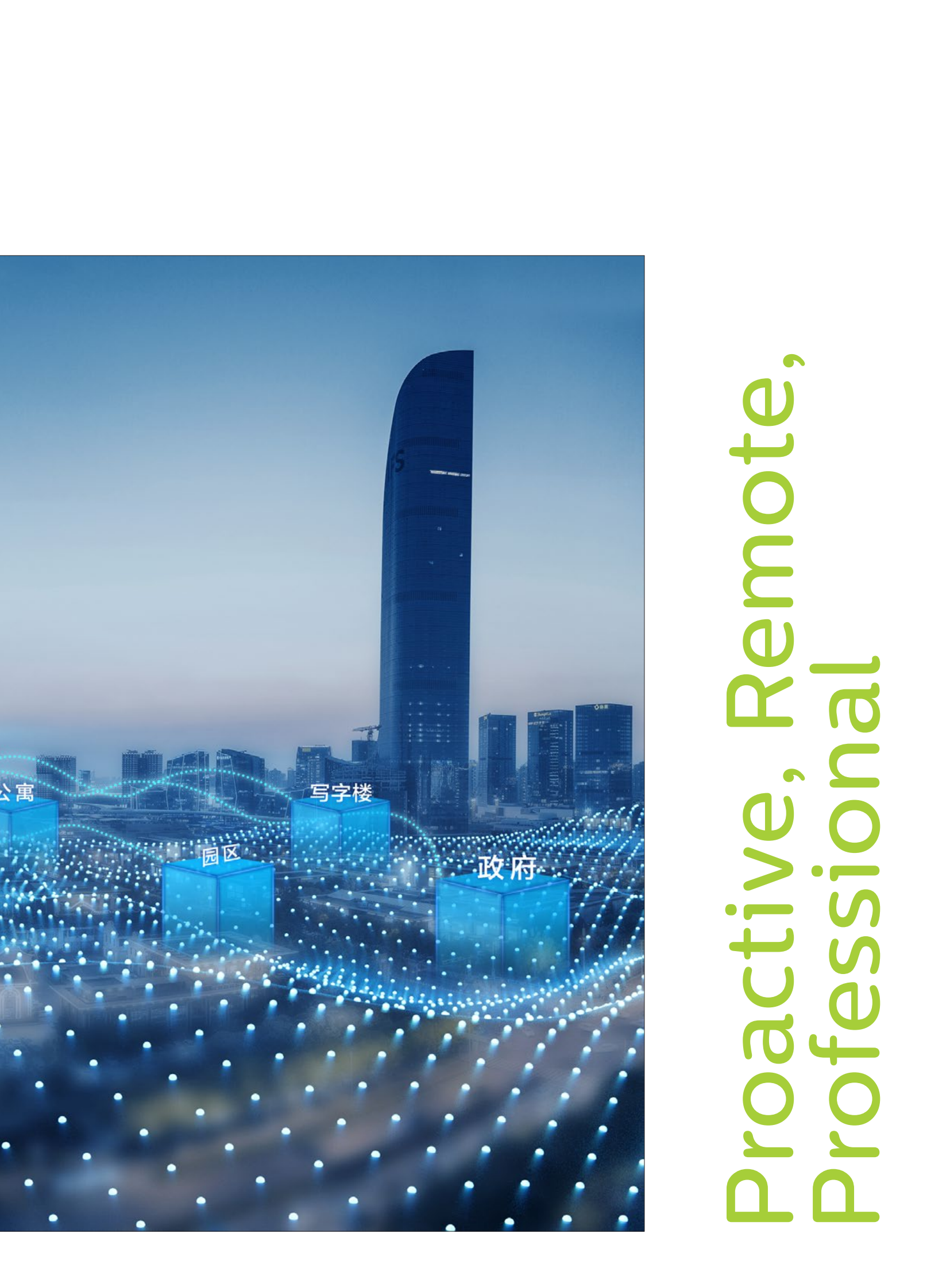 代维云英文版本